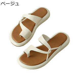 gOT_ fB[X  Xbp O r[`T_ Vv tbg ₷ RtH[g   r ~ y JWA ][g ʋ x_ 