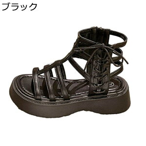  OfBG[^[ T_ fB[X TChWbp[ [} gDXgbvI[vgD +5cmg n   ҂ݏグ h Ȑ ʋΒʊw  U f[g