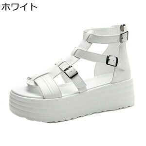 OfBG[^[ T_  fB[X obNWbp[ I[vgD obNt nCJbg tďH  +6cmg h y  IV s vbgtH[