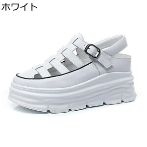  Xj[J[ fB[X OfBG[^[ T_  obN N[YhgD [} +7cmg 2cmCq[ tďH ~ ɂ i ʋΒʊw IV