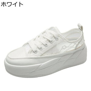 Xj[J[  fB[X [XAbv [X ԕ bV +6cmg tďH 킢 X|[cT_ Ȃ ~ JWA Sn IV i ʋΒʊw Oo