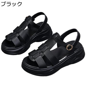 OfBG[^[ T_ fB[X  [} ANXgbv I[vgD 5cmq[ [Jbg tďH  r[T ɂ ItBX  W[ IV