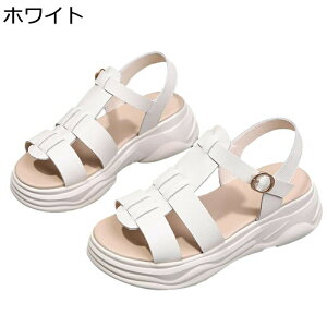 OfBG[^[ T_ fB[X  [} ANXgbv I[vgD 5cmq[ [Jbg tďH  r[T ɂ ItBX  W[ IV