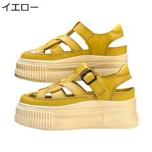   Xj[J[ fB[X T_ ANXgbv N[YhgD w6cmȂ ɂ X|[cT_ tďH h g y ʋΒʊw IV