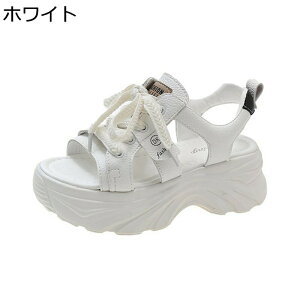 X|[cT_   Xj[J[ fB[X [XAbv I[vgD D^  +5cmg [Jbg h vbgtH[ ʋΒʊw EH[LOV[Y IV