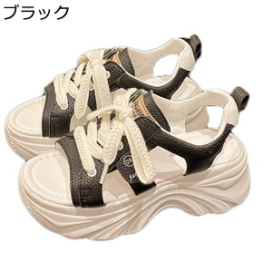 X|[cT_   Xj[J[ fB[X [XAbv I[vgD D^  +5cmg [Jbg h vbgtH[ ʋΒʊw EH[LOV[Y IV