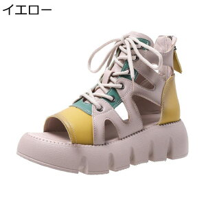 T}[u[c T_  fB[X nCJbg  [} obNWbp[ I[vgD V[gu[c tďH ҂ݏグ ϊ ϖՐ +5cmg T_u[c iD