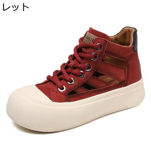   Xj[J[ fB[X nCJbg X|[cT_ [XAbv 킢 bV w4cmȂ IV tďH ~ Sn  Ȃ JWA