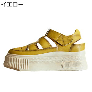  Xj[J[ fB[X  g v [Jbg ʃt@Xi[ +6.5cmg X|[cT_ xN ~  IV ʋΒʊw ɂ ʋC i