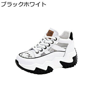  Xj[J[ fB[X TCY  nCJbg [XAbv +6.5cmg X|[cT_ IV ~ v  킢 ʋΒʊw ɂ ʋC 