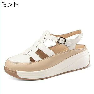  OfBG[^[ T_ fB[X EFbWq[ ANXgbv N[YhgD PUU[ [} obN   w5cmȂ IV h K W[