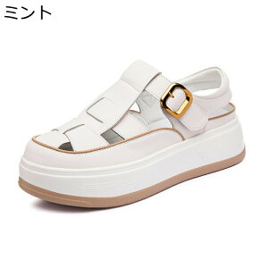 OfBG[^[ T_  fB[X vbgtH[ [} obN N[YhgD +5cmg tďH  Xj[J[ IV h h E֗ s