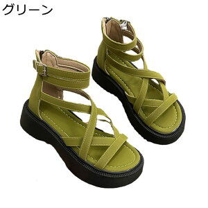 OfBG[^[ T_  fB[X vbgtH[ [} +4cmg obNWbp[ I[vgD tďH  ҂ݏグ ɂ ʋΒʊw  U f[g