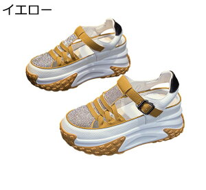   Xj[J[ TCY fB[X LL [Jbg obN X|[cT_ v 2cmCq[  +7cmg h V[NbgV[Y IV 