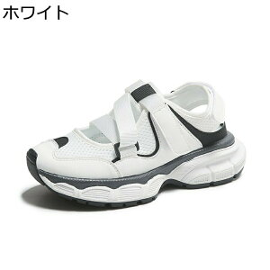 X|[cT_  Xj[J[T_ fB[X ʃt@Xi[ ܐ悠 bV 킢 w4cmȂC D^ xN ϖՐ AEghA h EH[LO 