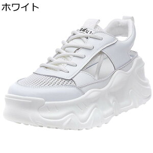 D^  X|[cT_ fB[X T_ [XAbv ܐ悠  bV n ėp XXgbv ϊ ϖՐ Ȑ i AEghA EH[LO IV