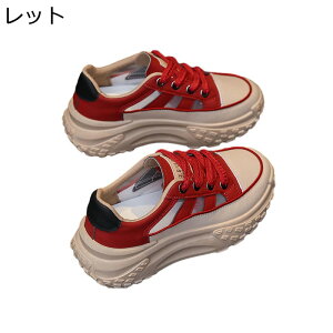   Xj[J[ fB[X w5cmȂ [XAbv S [Jbg  ʋΒʊw vbgtH[ IV Oo 킢 X|[cT_ Xj[J[T_