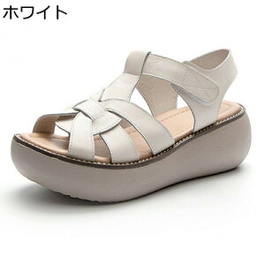 TCY OfBG[^[ T_  fB[X vbgtH[ [} I[vgD ʃt@Xi[ PUU[ 7cmq[  ~ Ռz \tg ɂ