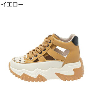   Xj[J[ fB[X w6.5cmȂ [XAbv X|[cT_ S nCJbg  ҂݂ܐ ʋΒʊw vbgtH[ IV Oo 킢