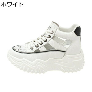   Xj[J[ fB[X w6.5cmȂ [XAbv X|[cT_ S nCJbg  ҂݂ܐ ʋΒʊw vbgtH[ IV Oo 킢