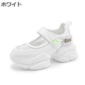  X|[cT_ T_ fB[X ʃt@Xi[ N[YhgD jbg bV v  +5.5cmg xN D^ h Ȃ AEghA Xj[J[ vbgtH[