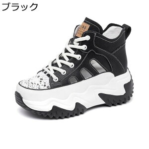 +7.5cmg fB[X   Xj[J[ v [XAbv nCJbg X|[cT_  r 2.5cmCq[ bV vbgtH[ V[NbgV[Y