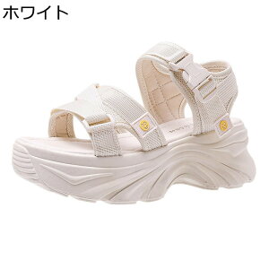 Xj[J[T_ T_  fB[X }WbNe[v I[vgD 6.5cmq[ jR  ϋv ϊ ϖՐ nCLO vbgtH[ X|[cT_ W[p