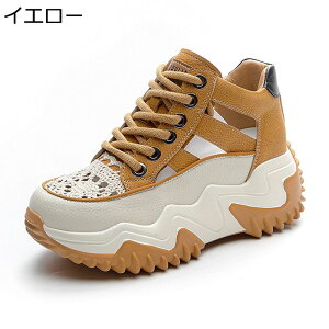   Xj[J[ fB[X [XAbv +6.5cmg v nCJbg X|[cT_ vbgtH[ 1.5cmCq[ bV V[NbgV[Y 