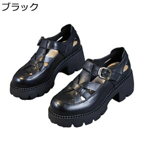  OfBG[^[ T_ v fB[X obN N[YhgD [} +5cmg tďH  ʋC ɂ E֗ ʋΒʊw 풅p U IV