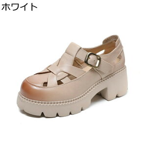  OfBG[^[ T_ v fB[X obN N[YhgD [} +5cmg tďH  ʋC ɂ E֗ ʋΒʊw 풅p U IV