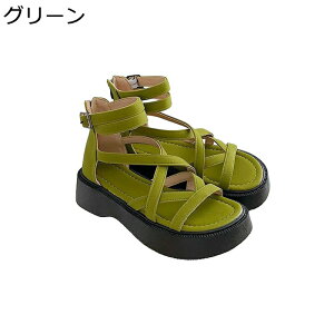 OfBG[^[ T_  [} fB[X obNWbp[ I[vg  ҂ݏグD tďH~ ~ Ռz vbgtH[ Ȑ ʋΒʊw  U f[g