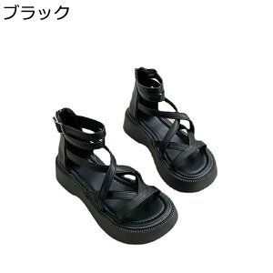 OfBG[^[ T_  vbgtH[ fB[X [} I[vgD 5cmq[ ҂ݏグ n   ϋv ϊ r[`T_ IV ItBX s