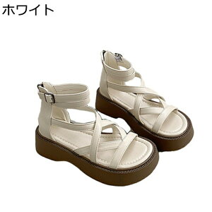 OfBG[^[ T_  vbgtH[ fB[X [} I[vgD 5cmq[ ҂ݏグ n   ϋv ϊ r[`T_ IV ItBX s