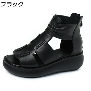 傫TCY T_u[c OfBG[^[ T_ fB[X  I[vgD obNWbp[  4.5cmq[ [} n  nCJbg h V[gu[c v