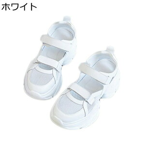 Xj[J[T_ T_  fB[X t@Xi[ N[YhgD bV tH~ w5.5cmȂ ʋC  NbV ɂ D^ v o ʋΒʊw