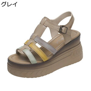 OfBG[^[ T_  fB[X vbgtH[ [} ANXgbv I[vgD 6cmq[   IV h ~ K ʋ ʊw  s