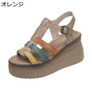 OfBG[^[ T_  fB[X vbgtH[ [} ANXgbv I[vgD 6cmq[   IV h ~ K ʋ ʊw  s