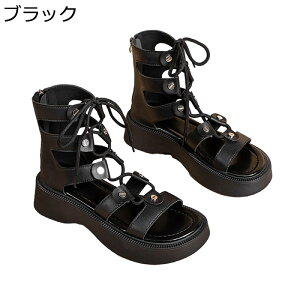 OfBG[^[T_ fB[X ҂ݏグ 5cmq[ I[vgD PUU[ obNWbp[ nCJbg r [}   [XAbv T}[u[c  S JWA