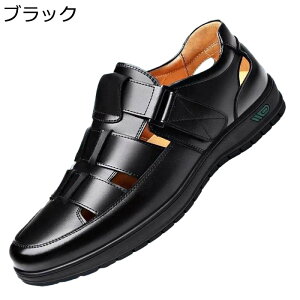 vT_ rWlXT_ Y ItBXT_  JT U[  y  É Ȃ 풅p Ep  JWA RtH[gT_ 2way v[g amp