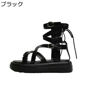 T}[u[c fB[X r[`T_  Xgbv OfBG[^[T_ tbg ₷ ɂ ėp  TChWbp[ h fC[ ʋ ItBX s J