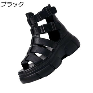 OfBG[^[T_ fB[X u[cT_  tbg ₷ RtH[g I[vgD gAbv nCJbg V[gu[c ėp y ʋC h JWA ʋ