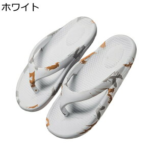 X|[cT_ Y  AEghAT_ RtH[gT_  ėp Xbp TCY h ʋC ɂȂ L ₷  jp AEghA W[  