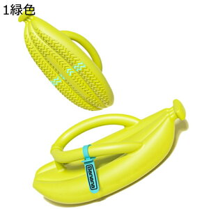 Xbp oii^ gOT_ Y fB[X  r[T  r[`T_ ėp r ]g C r[` yʒʋC ~ ₷ tBbg jp JWA 