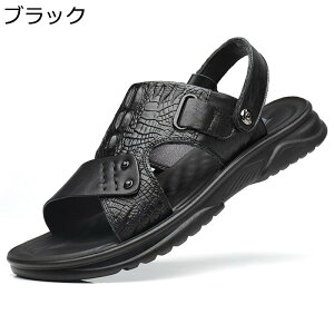 T_  r[`T_ Y JWA 2way Xbp h hCo[T_ ėp vT_ AEghAT_ X|[c ₷ Ȃ  y X|[c EH[