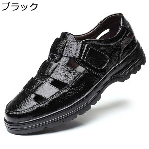 Y T_ RtH[g {vT_ xN y ܐی hCo[T_ JWA Ȃ ʋC hL 傫TCY ėp rWlXT_ AEghA EH[LOT