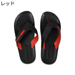 Y r[`T_ gOT_ tbg  r[T O y Ȃ ϖ AEghA ʋC hL  JWAT_ x_  C v[ ][g 