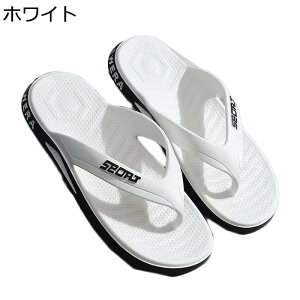 r[`T_ Y AEghA gOT_ O ėp Ȃ ʋC hL   ɂȂ ₷ JWAT_ p y ~  Xbp