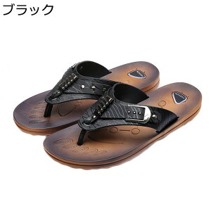 gOT_ r[T Y y Ȃ r[`T_  ϋv ʋC Xbp  O Ep JWA AEghA ėp p  pT_