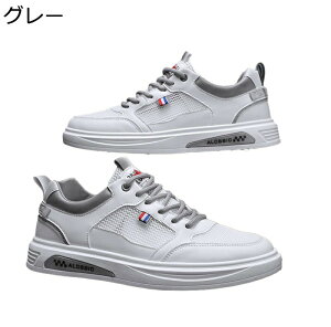 XP[g{[hV[Y Y  Xj[J[ X|[cV[Y ʋC bV ^C  JWAV[Y  ϖ AEghA EH[LOV[Y [Jbg hCo