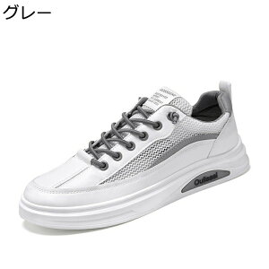 Xj[J[ YV[Y   X|[cV[Y JWA bV ėp ʋC XP[g{[hV[Y  bVV[Y jp jOV[Y EH[LOV